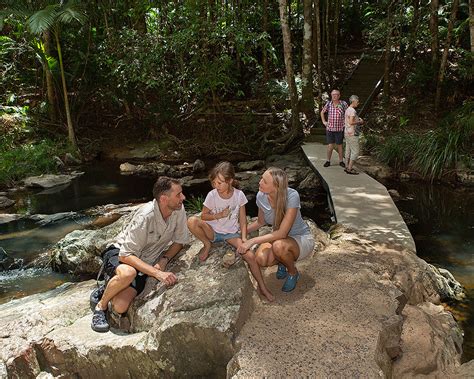 Kuranda Rainforest Walks - Lots of Free, Self-Guided Rainforest Walks