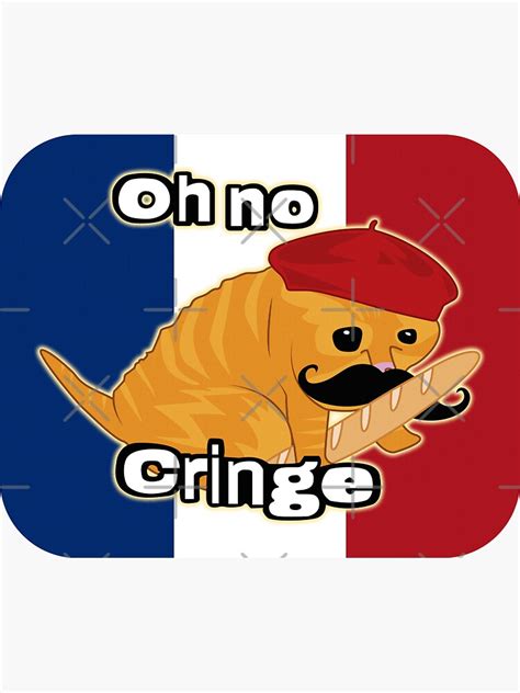 "Oh no Cringe Cat French Flag" Sticker for Sale by Rzera- | Redbubble