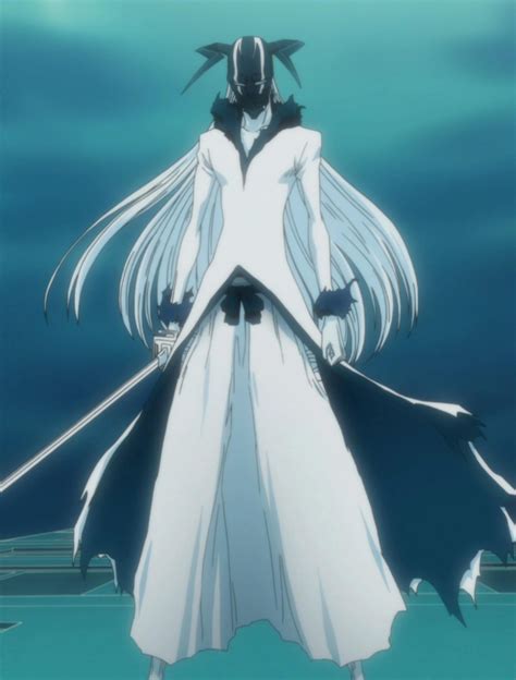 Is this form Zangetsu's true appearance? : bleach