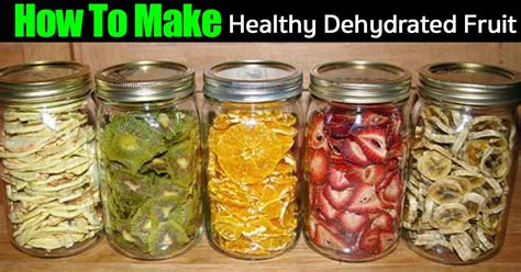 Making Healthy Dehydrated Fruit And 101+ Other Dehydrated Foods