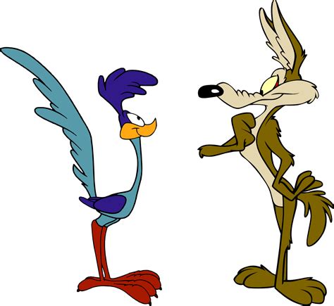 Wile E. Coyote and the Road Runner Looney Tunes Cartoon - runner png ...