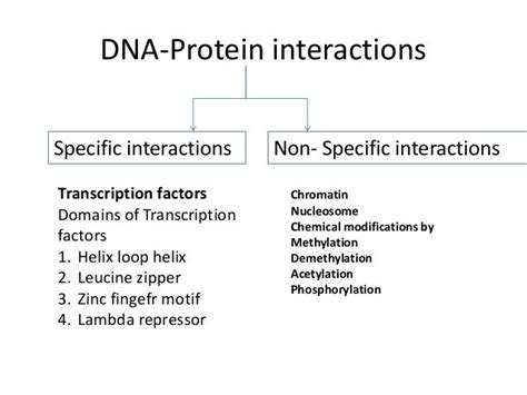 Protein dna interactions