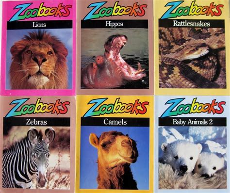 Zoo Books For Kids | Kids Matttroy