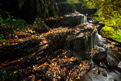 Birks of Aberfeldy & Its Bewitching Autumnal Blaze