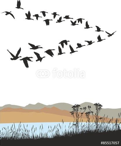 "Migrating wild geese over autumn landscape" Stock image and royalty ...