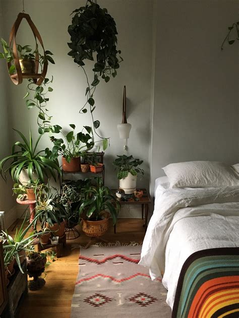 22 Amazing Bedroom Plants Low Light - Home Decoration and Inspiration Ideas