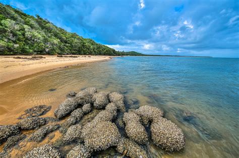 Inhaca Island Stock Photo - Download Image Now - iStock