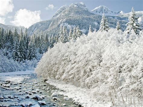 Yellowstone Winter Wallpapers - Top Free Yellowstone Winter Backgrounds ...