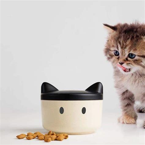 SUCK UK Pet Food Container with Customizable Stickers | Gadgetsin
