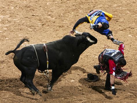 The Rodeo Circuit: Bucking Bulls And Broken Bones | WBUR News