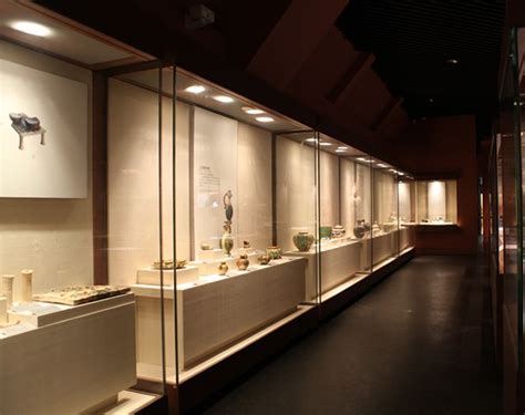 Wangda Museum Showcases - Wall Leaning Case | Museum display cases, Museum displays, Museum interior