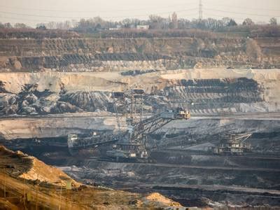 Why burning biomass is a hoax and coal is solid sunshine | Climate Change