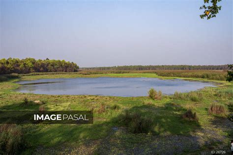 Rani Lake, Shuklaphanta National Park, Kanchanpur - buy images of Nepal, stock photography Nepal