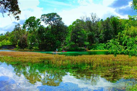 Rainbow springs state park - cfchlist