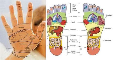 6 Easy-to-Find Reflexology Points To Relieve Everything From Digestion to Sleep Disorders ...