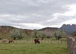 Grafton ghost town, near Zion National Park, Utah