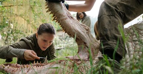 ‘Annihilation’: How That Terrifying Bear Was Designed | IndieWire