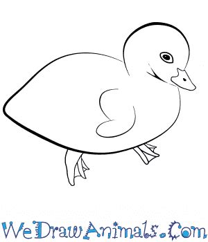 How to Draw a Baby Goose