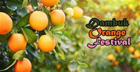 Dambuk Orange Festival of Arunachal Pradesh