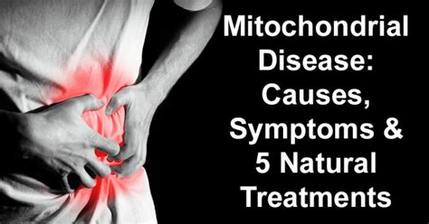 Mitochondrial Disease: Causes, Symptoms & 5 Natural Treatments - David Avocado Wolfe