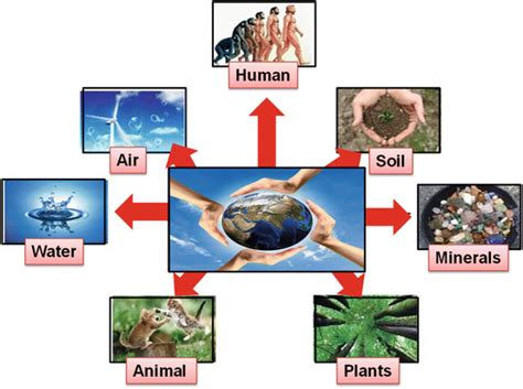 Introduction to Environmental Biotechnology | SpringerLink