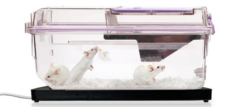 Home-cage monitoring system for mice | Animalab