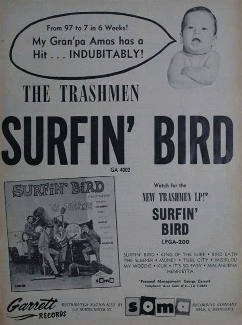 STUMPTOWNBLOGGER: SURFIN BIRD LIVES!