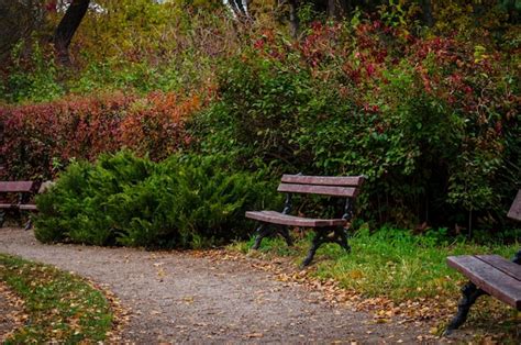 Premium Photo | Bench in autumn park