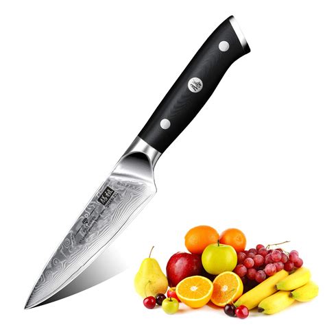 Buy SHAN ZU Paring Fruit 67 Layer Damascus Steel 4 Inches with G10 Handle - PRO Series Online at ...