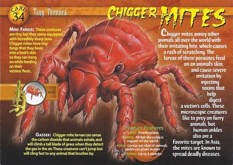 Chigger Mites | Wierd N'wild Creatures Wiki | FANDOM powered by Wikia