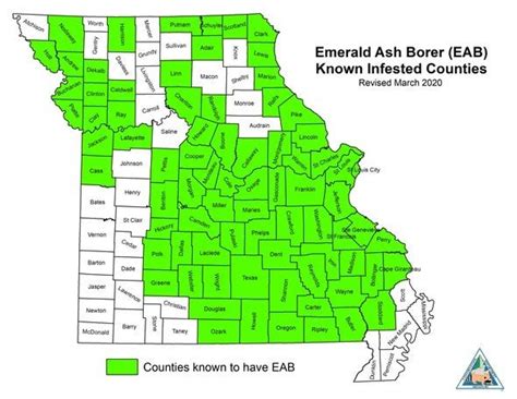 MDC confirms invasive emerald ash borer has spread to 78 Missouri ...