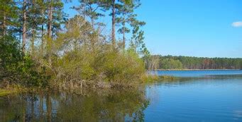 Blackwater River State Forest | Florida Hikes!