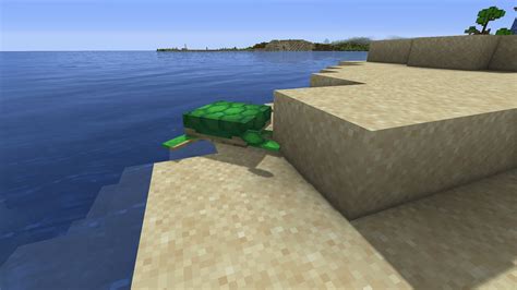 Minecraft 1.19 how to get scutes