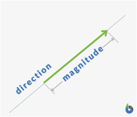 Vector Definition and Examples - Biology Online Dictionary