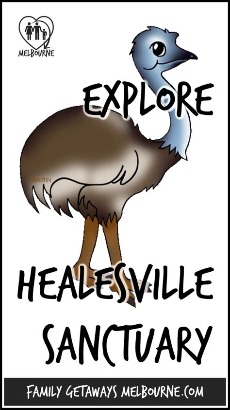 Healesville Sanctuary an Indigenous Wildlife Experience | Visit ...