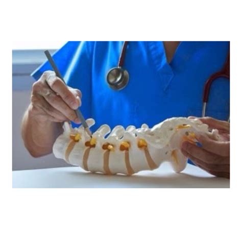 Spinal Surgery - South Florida Spinal Surgeon: Scoliosis, Complex Deformity, Revision