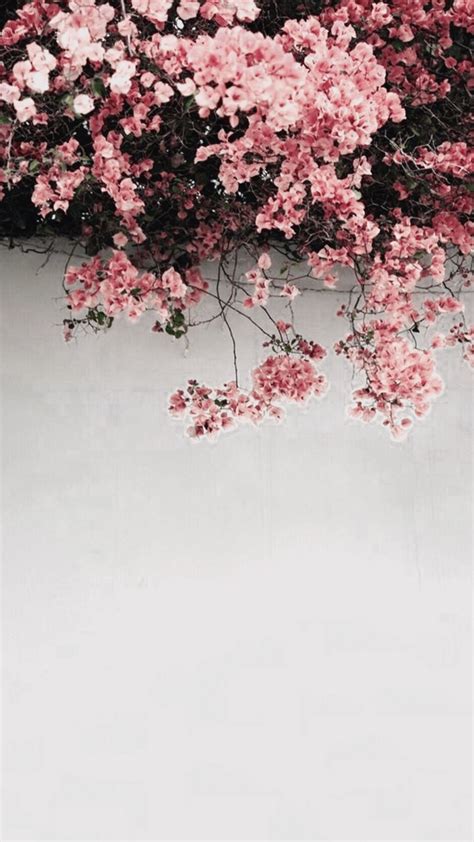 50+ Beautiful Flower Wallpapers For iPhone (Free Download!) in 2020 | Flower iphone wallpaper ...