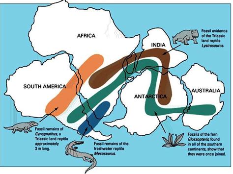 Geology, Biology Agree on Pangaea Supercontinent Breakup Dates - Geology In