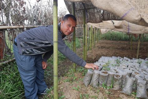 Khasi Hills, India - Sustainability Project - Circular Computing™