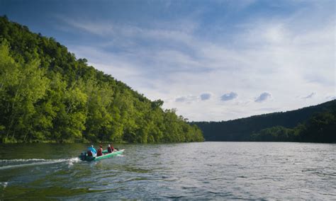 White River: Trout Fishing Destination | Arkansas.com