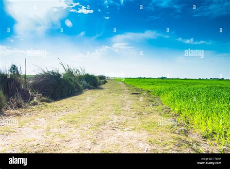 Pakistan punjab landscape hi-res stock photography and images - Alamy