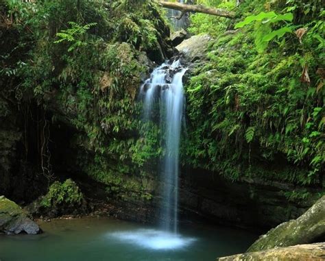 Bucket List: Puerto Rico's Secret Waterfall