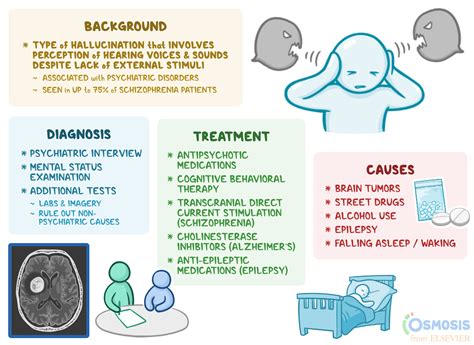 Auditory Hallucinations: What Are They, Causes, and More | Osmosis