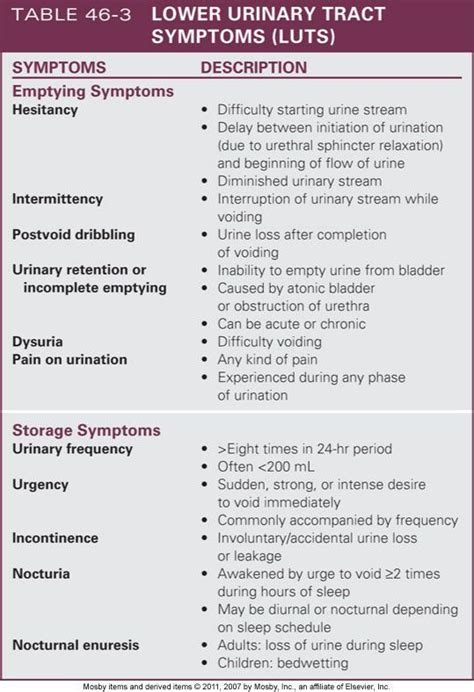 Urinary tract symptoms. #utiremedies #utihomeremedies #utiinfo # ...