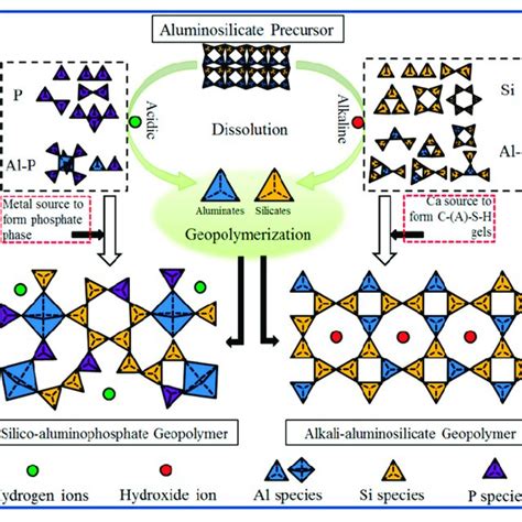 Reaction process of aluminosilicate precursors forming geopolymer under... | Download Scientific ...