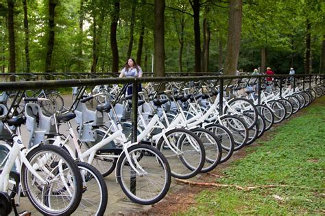 Pedaling the Bike Trails of Hoge Veluwe - Reflections Enroute