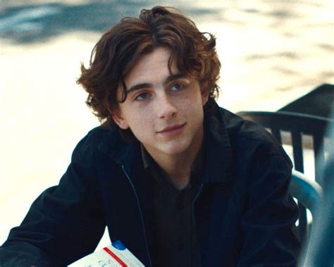 Timothee Chalamet is '1000 per cent' ready for 'Call Me By Your Name ...