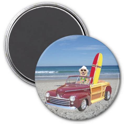 Funny Car Magnets, Funny Car Magnet Designs for your Fridge & More