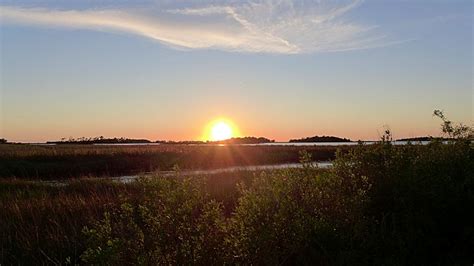 Nature Trails Cedar Key Wildlife Refuge | Scenic Pathways