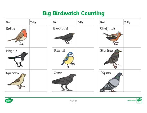 RSPB Birdwatch Resources | WorkwithSchools